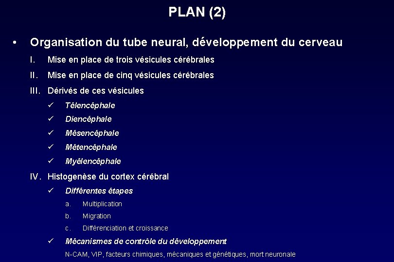 PLAN (2) • Organisation du tube neural, développement du cerveau I. Mise en place PLAN (2) • Organisation du tube neural, développement du cerveau I. Mise en place
