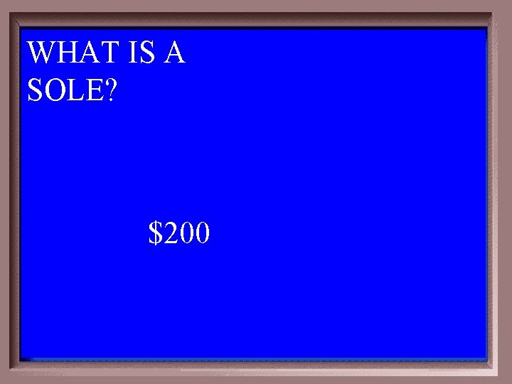 WHAT IS A SOLE? $200 1 - 100 1 -200 A 