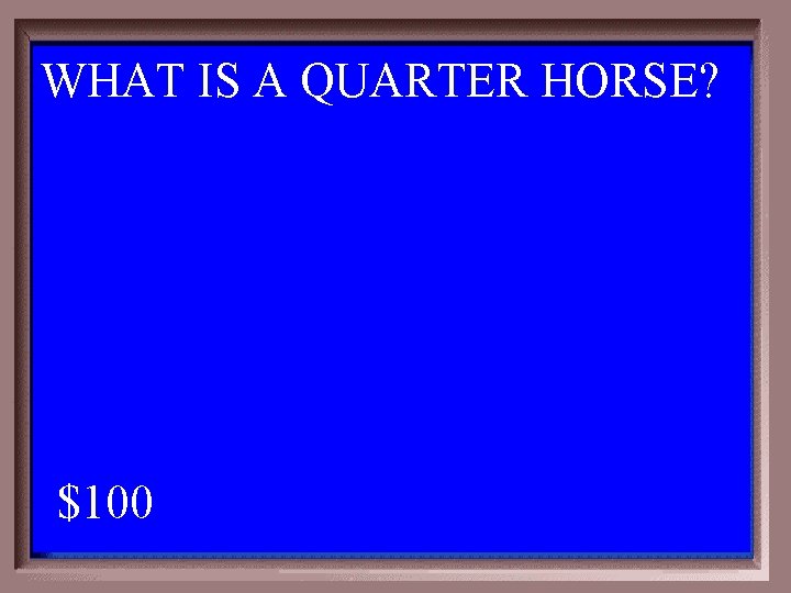 WHAT IS A QUARTER HORSE? 1 - 100 2 -100 A $100 