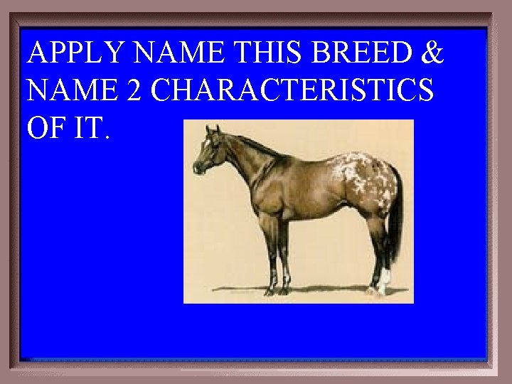 APPLY NAME THIS BREED & NAME 2 CHARACTERISTICS OF IT. 2 -200 