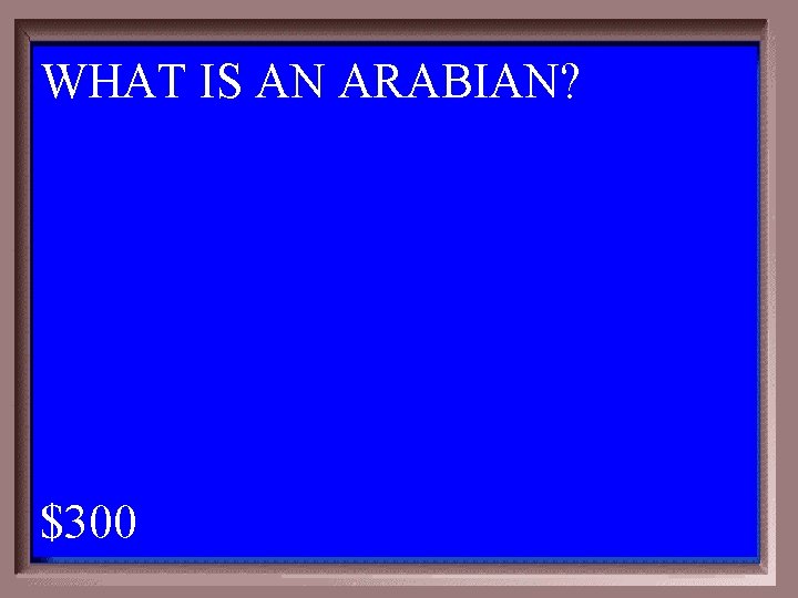 WHAT IS AN ARABIAN? 1 - 100 2 -300 A $300 