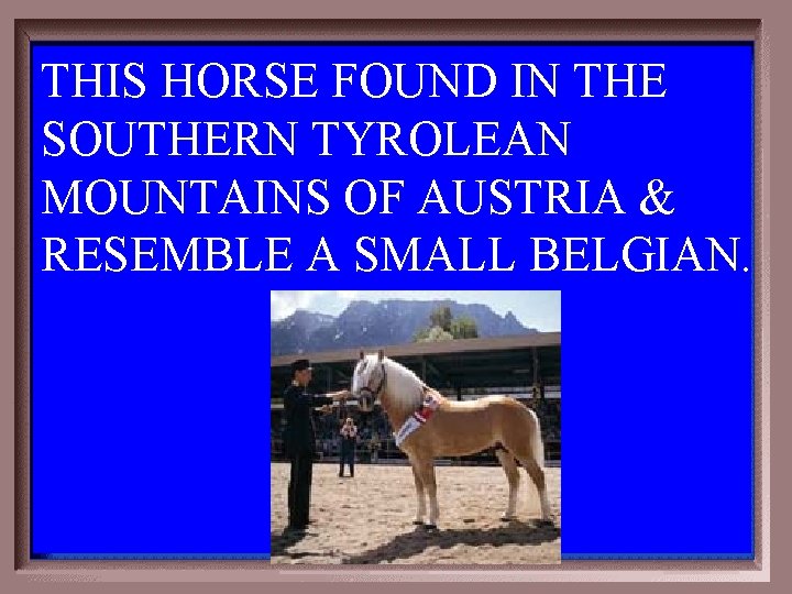 THIS HORSE FOUND IN THE SOUTHERN TYROLEAN MOUNTAINS OF AUSTRIA & RESEMBLE A SMALL