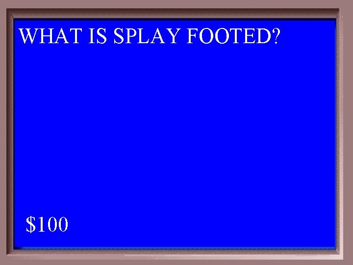 WHAT IS SPLAY FOOTED? 1 - 100 3 -100 A $100 
