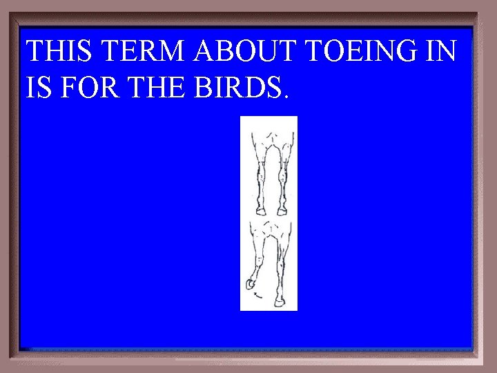 THIS TERM ABOUT TOEING IN IS FOR THE BIRDS. 3 -200 