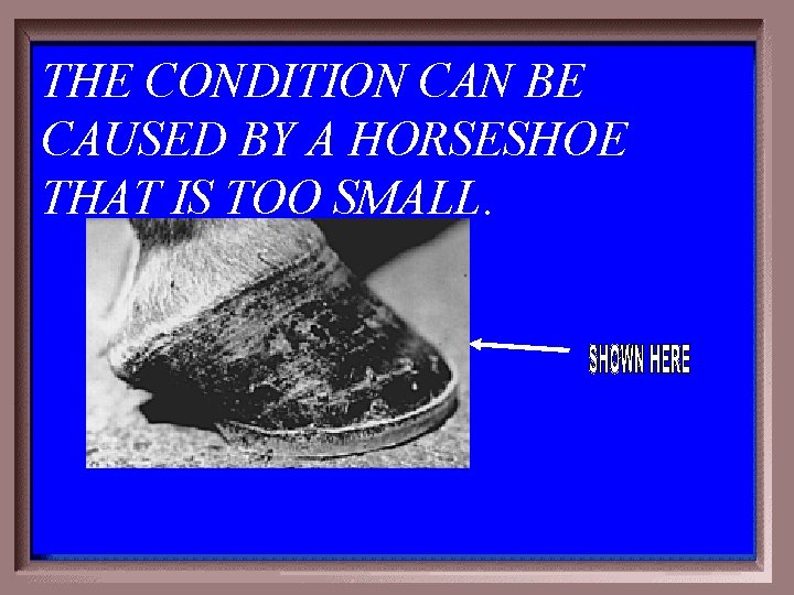 THE CONDITION CAN BE CAUSED BY A HORSESHOE THAT IS TOO SMALL. 3 -400