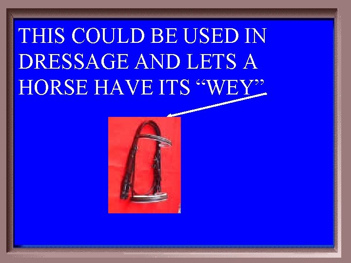 THIS COULD BE USED IN DRESSAGE AND LETS A HORSE HAVE ITS “WEY”. 1