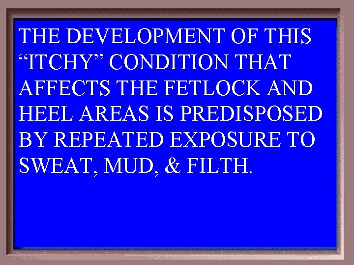 THE DEVELOPMENT OF THIS “ITCHY” CONDITION THAT AFFECTS THE FETLOCK AND HEEL AREAS IS