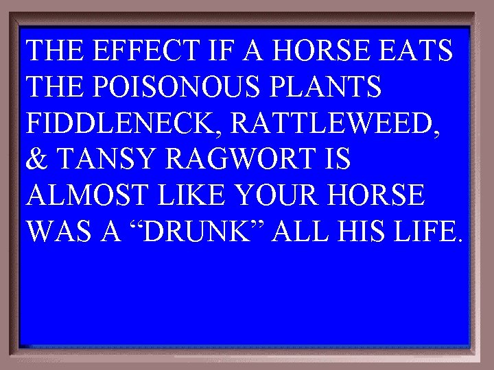THE EFFECT IF A HORSE EATS THE POISONOUS PLANTS FIDDLENECK, RATTLEWEED, & TANSY RAGWORT