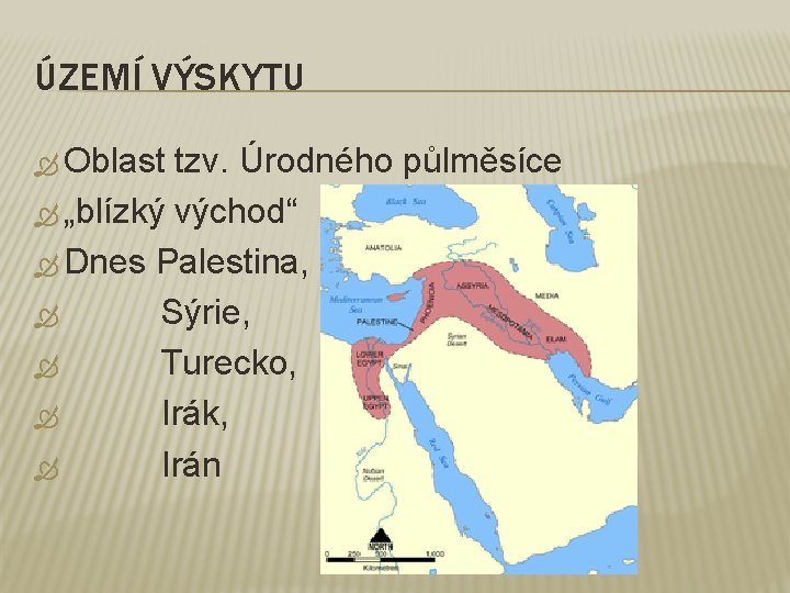 ÚZEMÍ VÝSKYTU Oblast tzv. Úrodného půlměsíce „blízký východ“ Dnes Palestina, Sýrie, Turecko, Irák, Irán