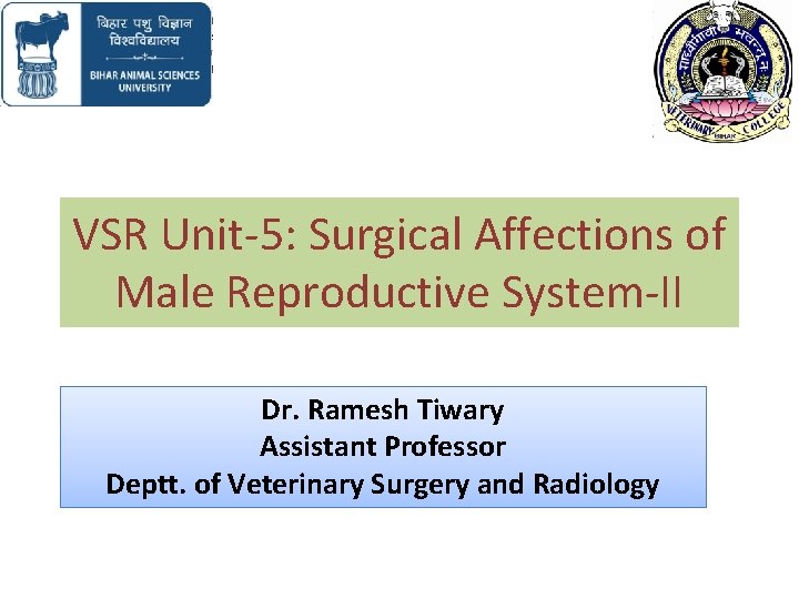 VSR Unit-5: Surgical Affections of Male Reproductive System-II Dr. Ramesh Tiwary Assistant Professor Deptt.