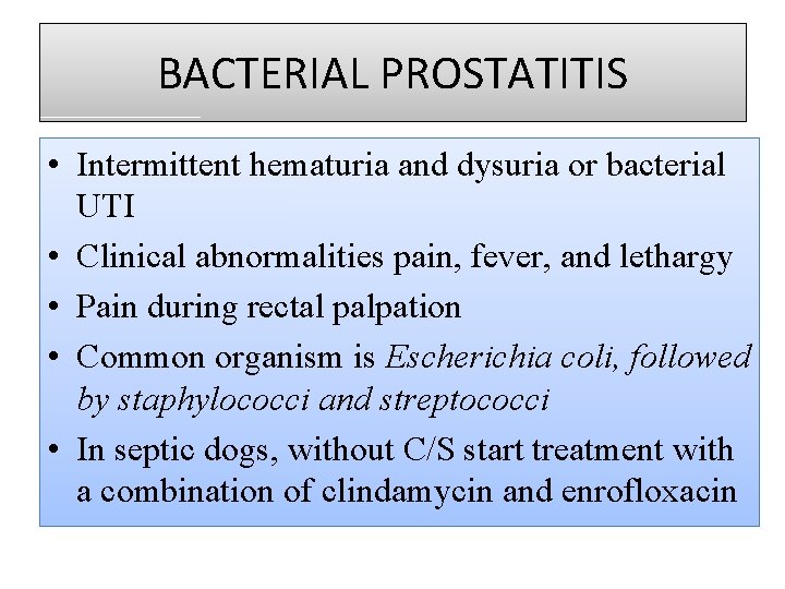 BACTERIAL PROSTATITIS • Intermittent hematuria and dysuria or bacterial UTI • Clinical abnormalities pain,