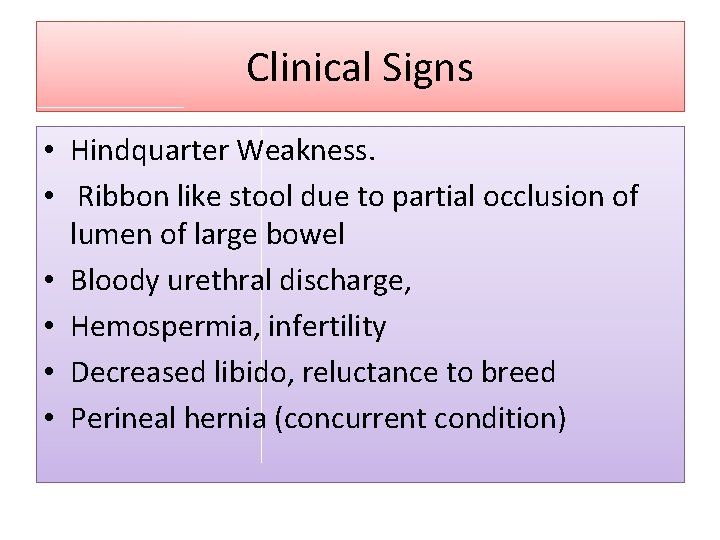 Clinical Signs • Hindquarter Weakness. • Ribbon like stool due to partial occlusion of