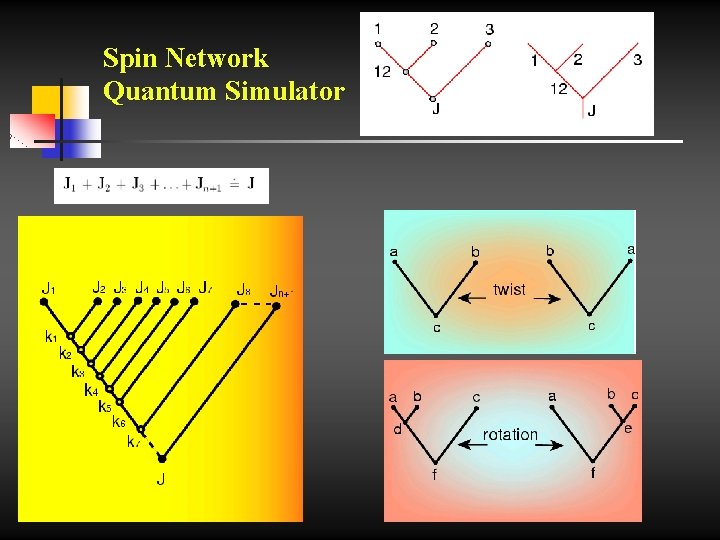 Spin Network Quantum Simulator 