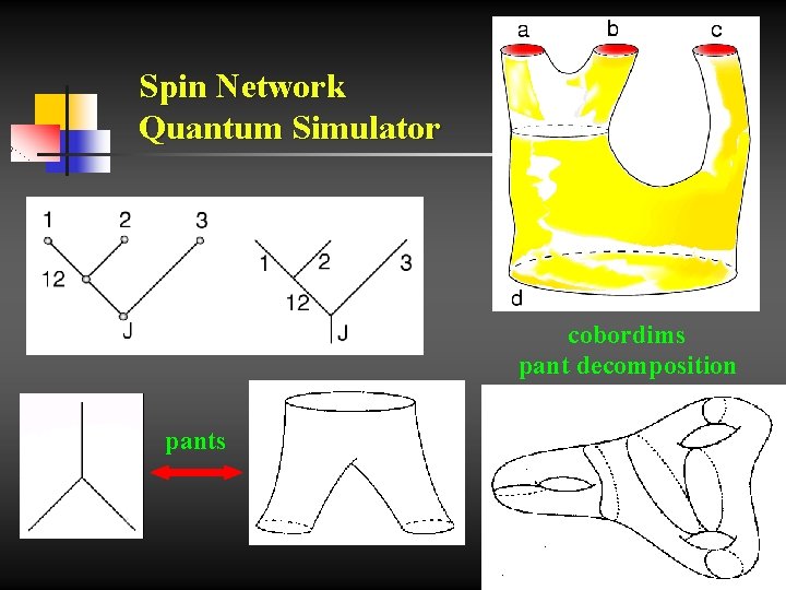 Spin Network Quantum Simulator cobordims pant decomposition pants 