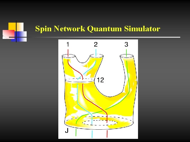 Spin Network Quantum Simulator 