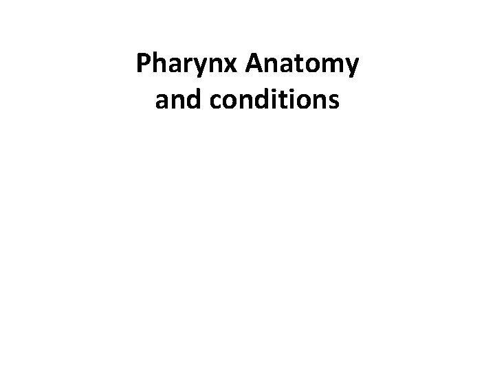 Pharynx Anatomy and conditions 