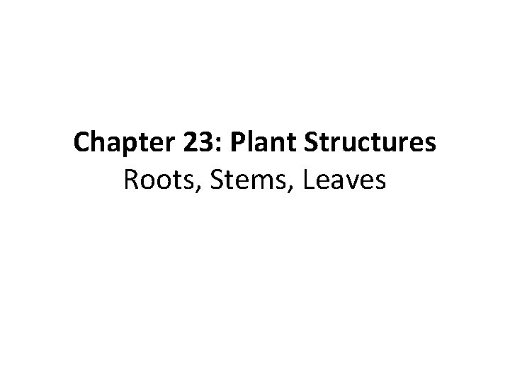 Chapter 23: Plant Structures Roots, Stems, Leaves 