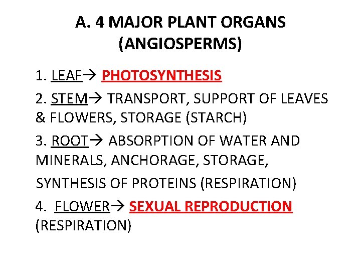 A. 4 MAJOR PLANT ORGANS (ANGIOSPERMS) 1. LEAF PHOTOSYNTHESIS 2. STEM TRANSPORT, SUPPORT OF