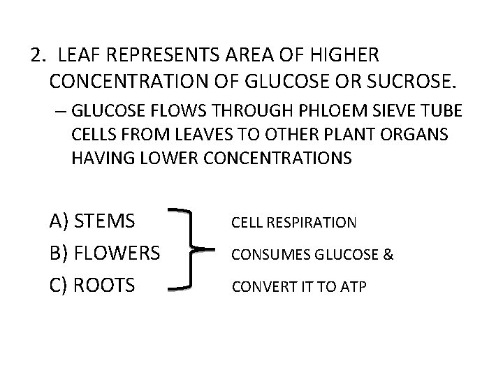 2. LEAF REPRESENTS AREA OF HIGHER CONCENTRATION OF GLUCOSE OR SUCROSE. – GLUCOSE FLOWS