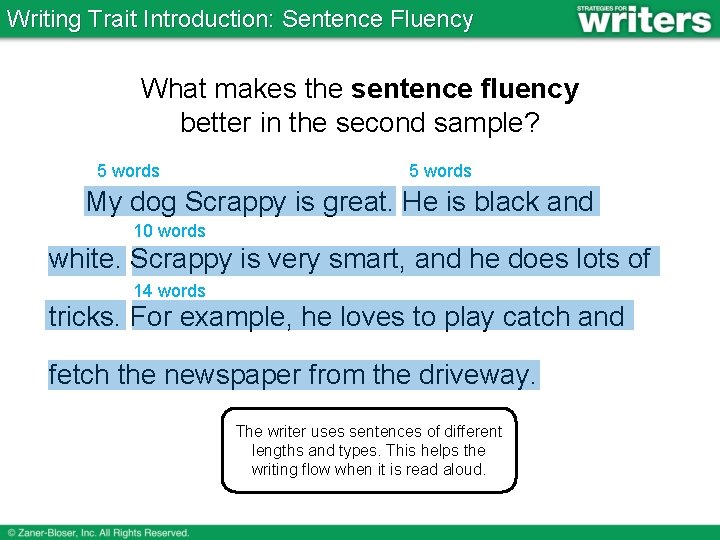 Writing Trait Introduction: Sentence Fluency What makes the sentence fluency better in the second