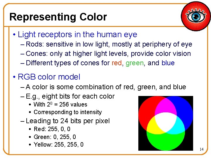 Representing Color • Light receptors in the human eye – Rods: sensitive in low