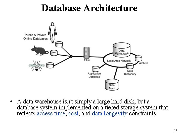 Database Architecture • A data warehouse isn't simply a large hard disk, but a