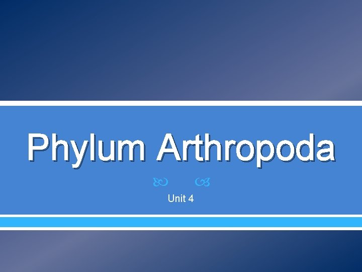 Phylum Arthropoda Unit 4 Phylum Arthropoda Unit 4