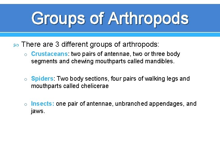 Groups of Arthropods There are 3 different groups of arthropods: o Crustaceans: two pairs Groups of Arthropods There are 3 different groups of arthropods: o Crustaceans: two pairs