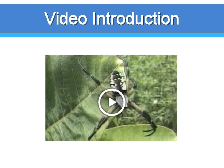 Video Introduction Video Introduction