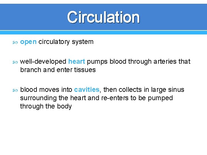Circulation open circulatory system well-developed heart pumps blood through arteries that branch and enter Circulation open circulatory system well-developed heart pumps blood through arteries that branch and enter