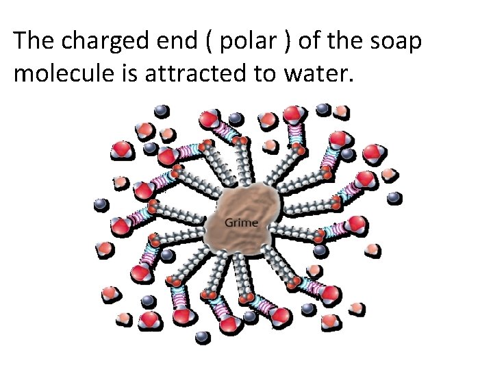 The charged end ( polar ) of the soap molecule is attracted to water. The charged end ( polar ) of the soap molecule is attracted to water.
