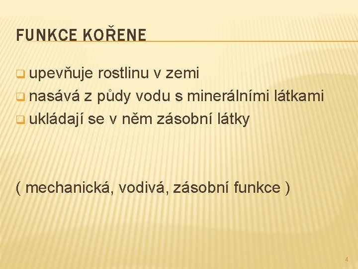 FUNKCE KOŘENE q upevňuje rostlinu v zemi q nasává z půdy vodu s minerálními