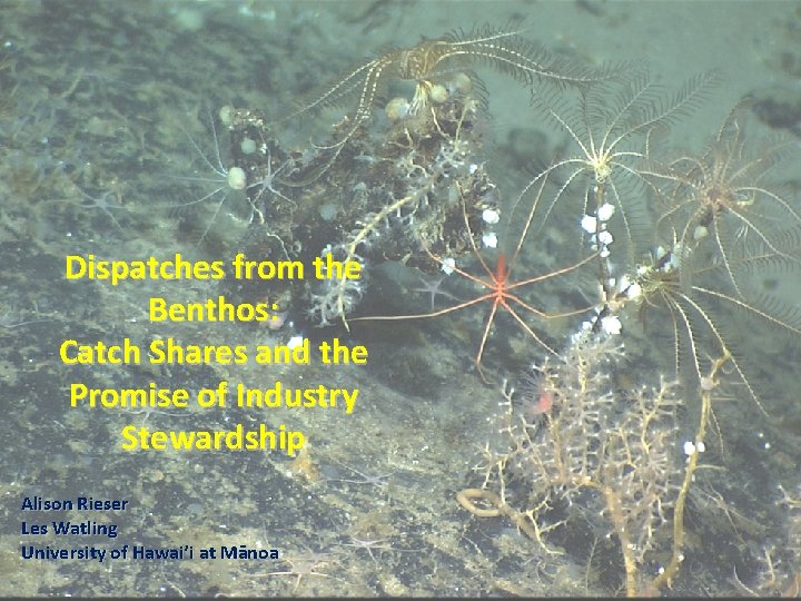 Dispatches from the Benthos: Catch Shares and the Promise of Industry Stewardship Alison Rieser