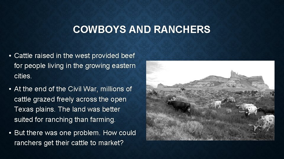 COWBOYS AND RANCHERS • Cattle raised in the west provided beef for people living