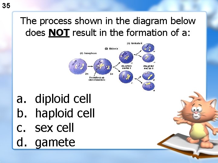 35 The process shown in the diagram below does NOT result in the formation