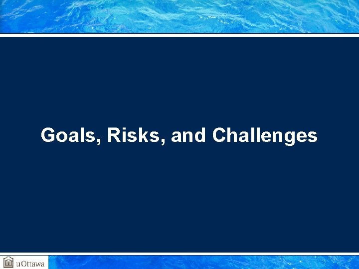Goals, Risks, and Challenges Goals, Risks, and Challenges