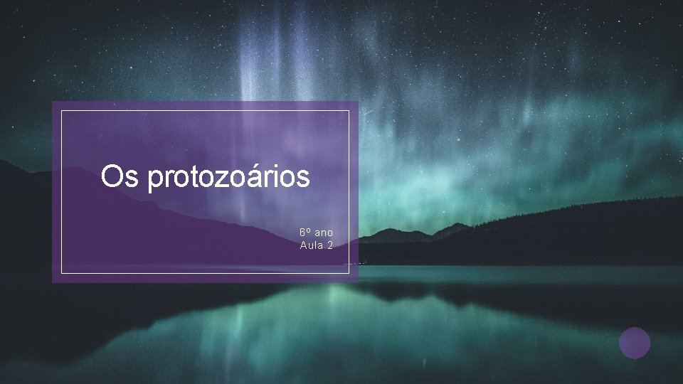 Os protozoários 6º ano Aula 2 