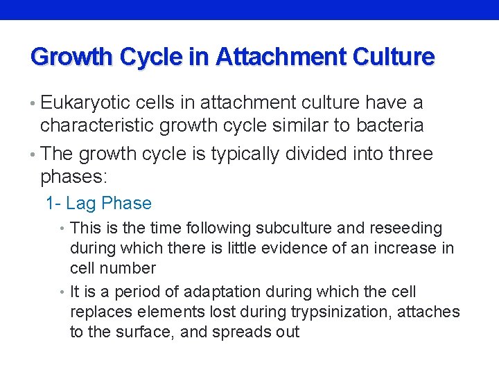 Growth Cycle in Attachment Culture • Eukaryotic cells in attachment culture have a characteristic