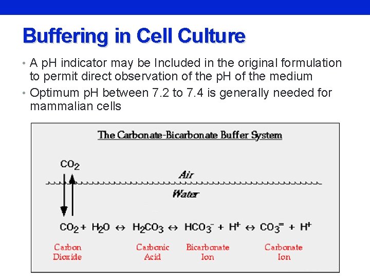 Buffering in Cell Culture • A p. H indicator may be Included in the