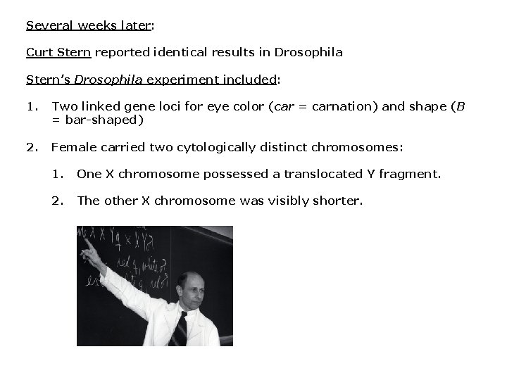 Several weeks later: Curt Stern reported identical results in Drosophila Stern’s Drosophila experiment included: