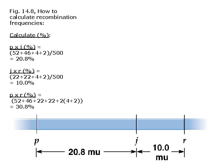 Fig. 14. 8, How to calculate recombination frequencies: Calculate (%): p x j (%)