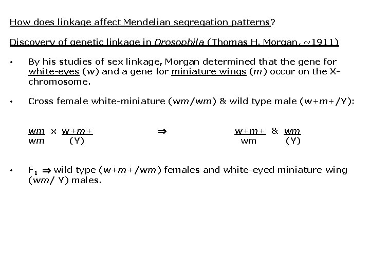 How does linkage affect Mendelian segregation patterns? Discovery of genetic linkage in Drosophila (Thomas