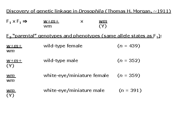 Discovery of genetic linkage in Drosophila (Thomas H. Morgan, ~1911) F 1 x F