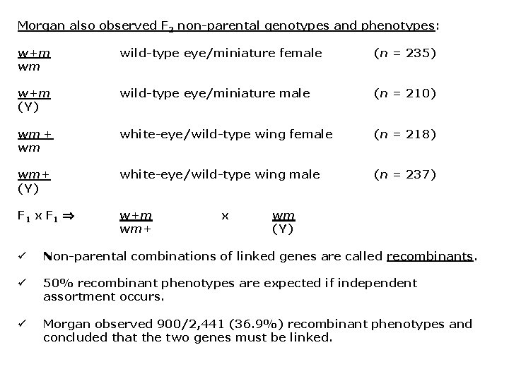 Morgan also observed F 2 non-parental genotypes and phenotypes: w+m wm wild-type eye/miniature female