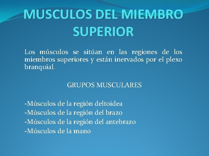 MUSCULOS DEL MIEMBRO SUPERIOR Los músculos se sitúan en las regiones de los miembros