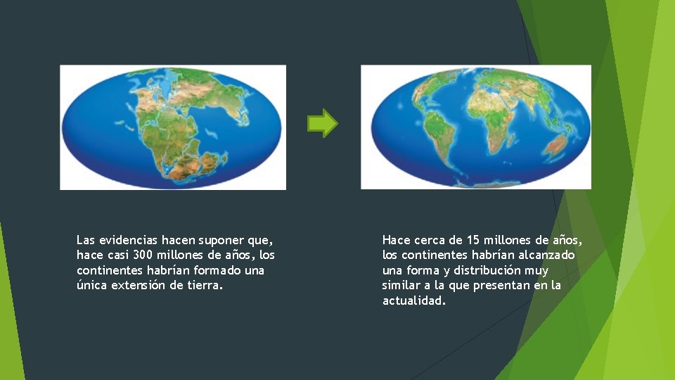 Las evidencias hacen suponer que, hace casi 300 millones de años, los continentes habrían Las evidencias hacen suponer que, hace casi 300 millones de años, los continentes habrían