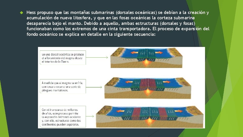 Hess propuso que las montañas submarinas (dorsales oceánicas) se debían a la creación Hess propuso que las montañas submarinas (dorsales oceánicas) se debían a la creación