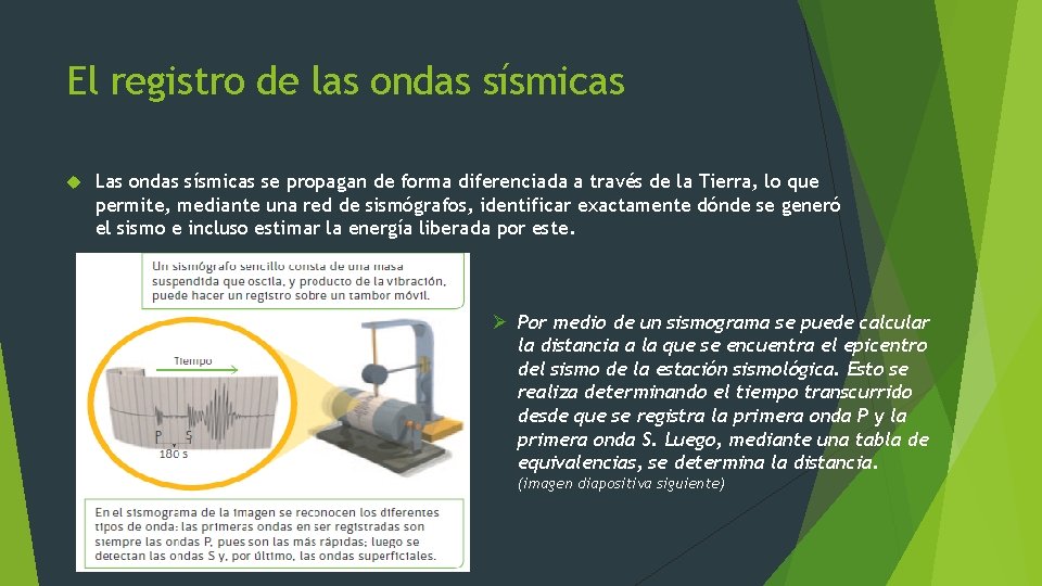 El registro de las ondas sísmicas Las ondas sísmicas se propagan de forma diferenciada El registro de las ondas sísmicas Las ondas sísmicas se propagan de forma diferenciada