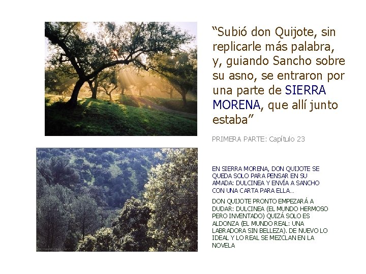 “Subió don Quijote, sin replicarle más palabra, y, guiando Sancho sobre su asno, se