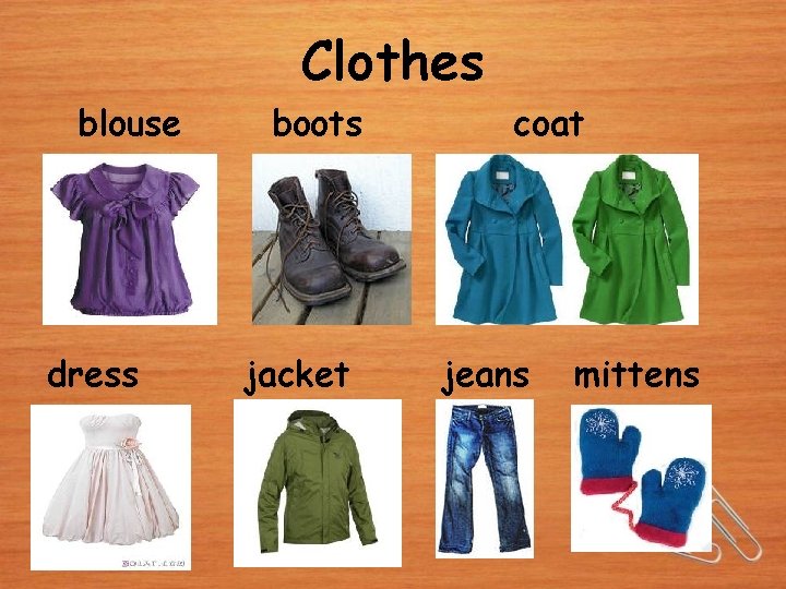 Clothes blouse dress boots jacket coat jeans mittens 